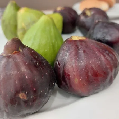 Masseria Trappeto Hotel *