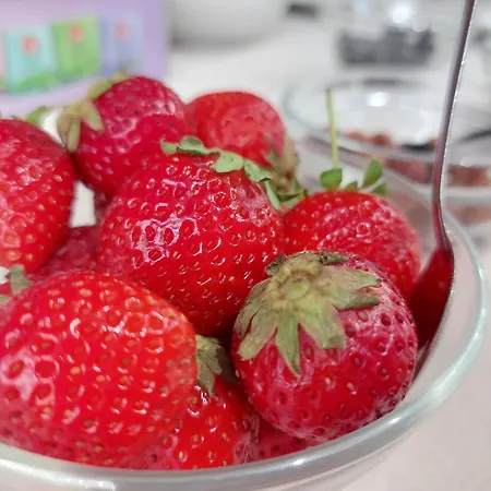 Hotel Masseria Trappeto *